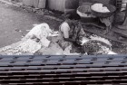 Bombay 2001_11.jpg